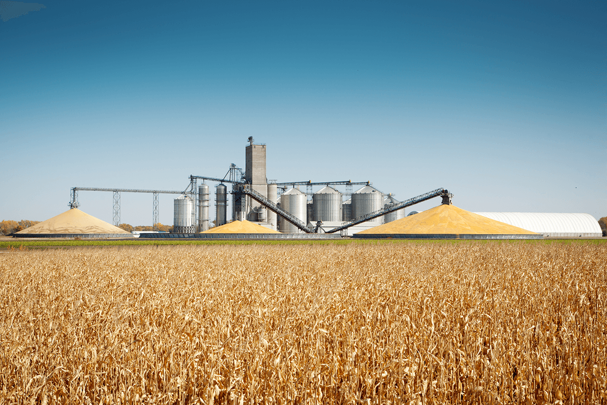 Agricultural commodity storage and crop field
